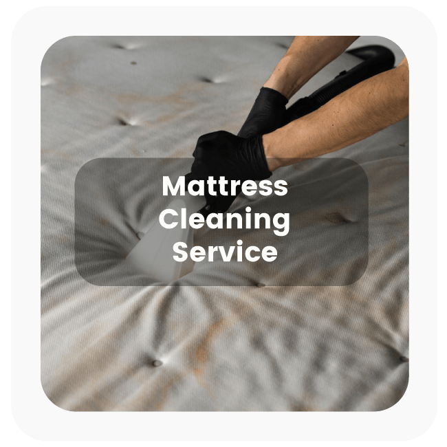 Mattress Cleaning Service