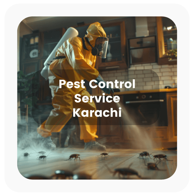 pest control services in Karachi