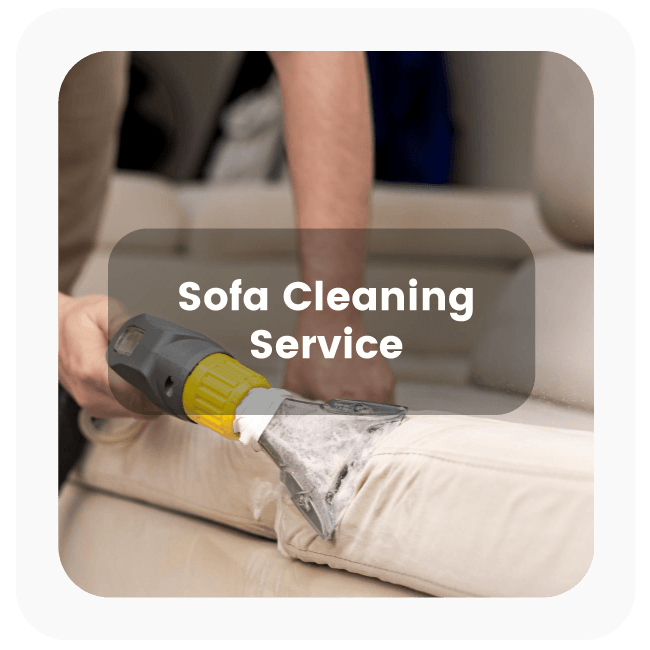 Sofa Cleaning Service