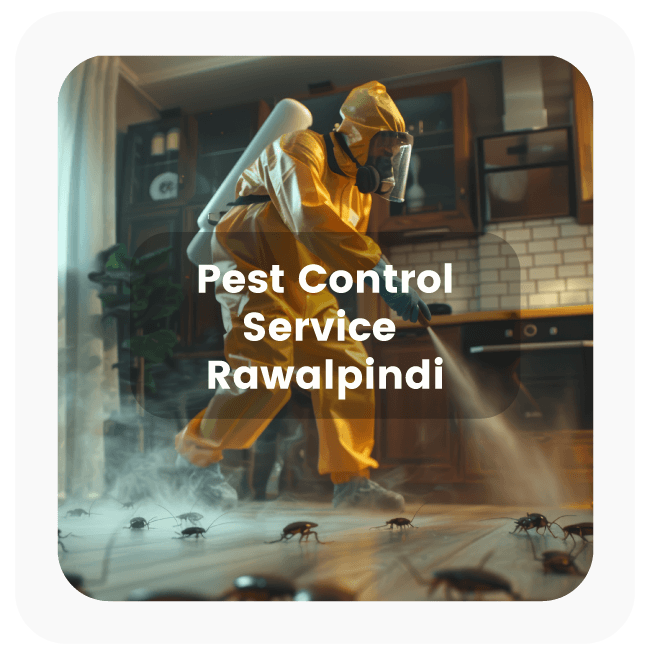 fumigation control service