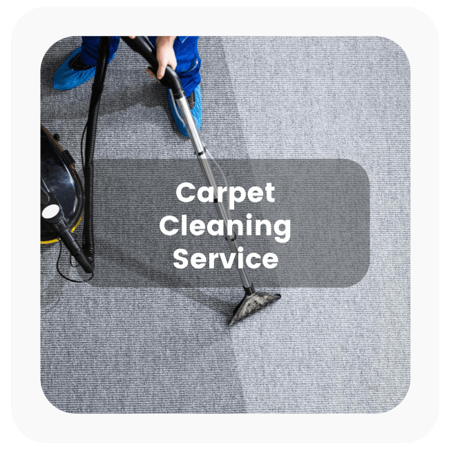 Carpet Cleaning Home Service Carpet Cleaning Home Service