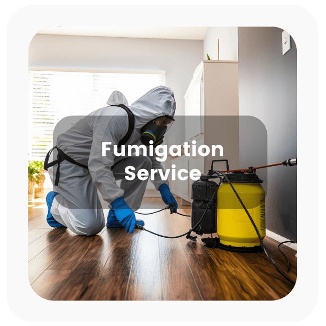 Fumigation service