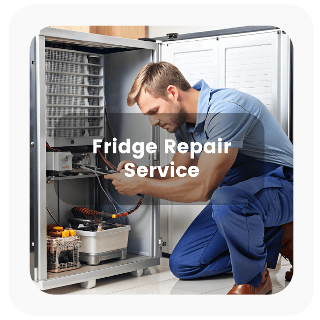 Fridge Repair Service 
