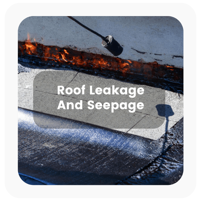 Roof Leakage and Seepage Repair 
