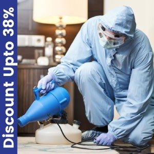 General Fumigation (Flying Insects)